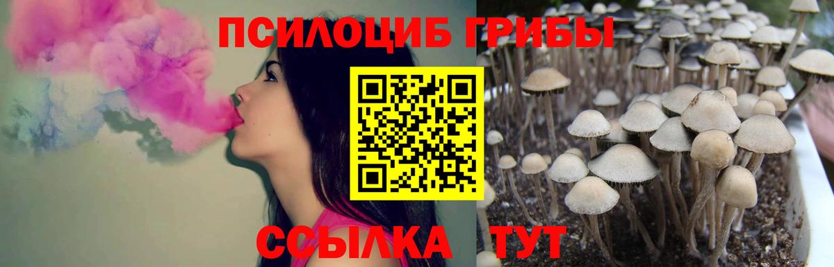 Галлюциногенные грибы прущие грибы  Псилоцибиновые грибы Magic Shrooms  Вход с VPN  Дмитров 